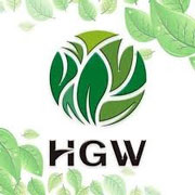 Logo HGW salud y bienestar